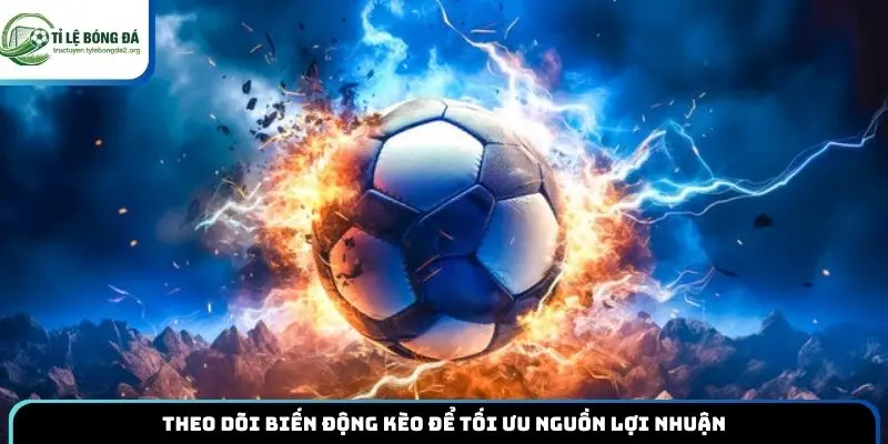 Theo dõi biến động kèo để tối ưu nguồn lợi nhuận