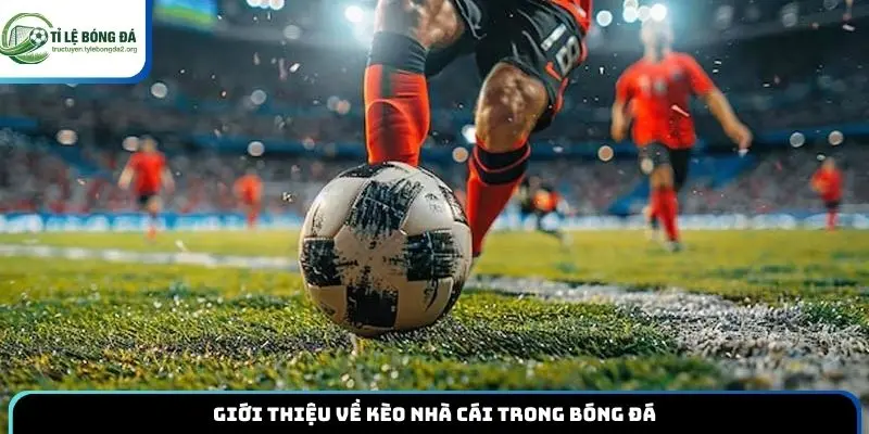Giới thiệu về kèo nhà cái trong bóng đá