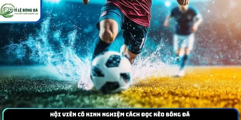 Hội viên có kinh nghiệm cách đọc kèo bóng đá