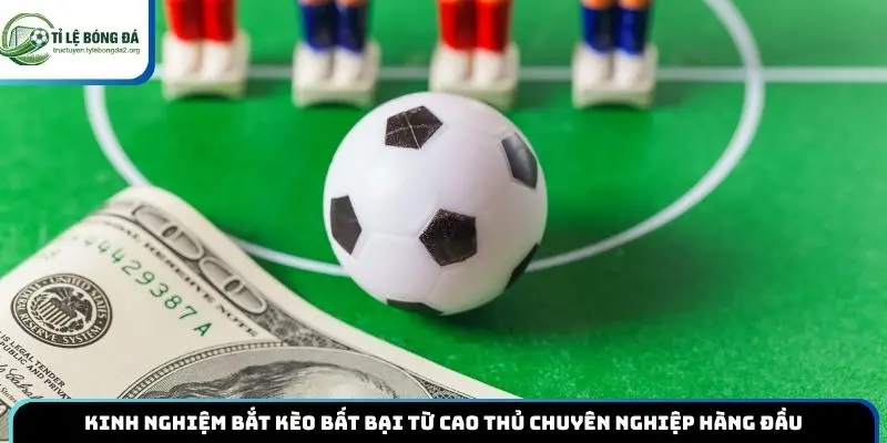 Kinh Nghiệm Bắt Kèo Bất Bại Từ Cao Thủ Chuyên Nghiệp Hàng Đầu