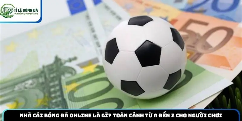 Nhà Cái Bóng Đá Online Là Gì? Toàn Cảnh Từ A Đến Z Cho Người Chơi