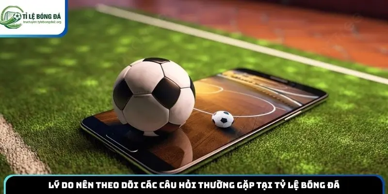 Lý do nên theo dõi các câu hỏi thường gặp tại tỷ lệ bóng đá