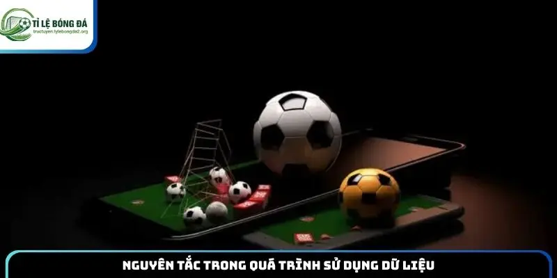 Nguyên tắc trong quá trình sử dụng dữ liệu