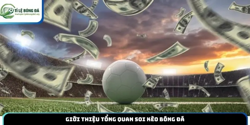 Giới thiệu tổng quan soi kèo bóng đá