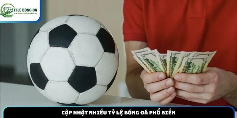 Cập nhật nhiều tỷ lệ bóng đá phổ biến