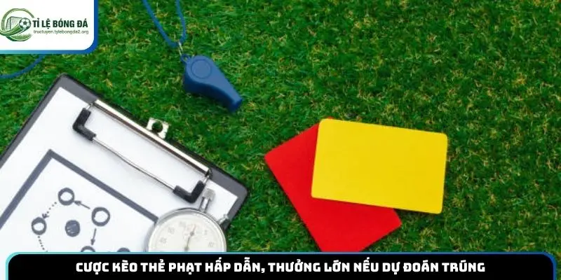 Cược kèo thẻ phạt hấp dẫn, thưởng lớn nếu dự đoán trúng